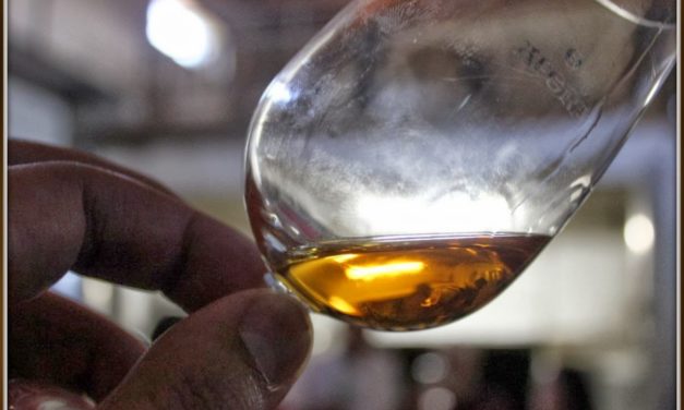 Albariño Quinta de la Erre visita a la bodega