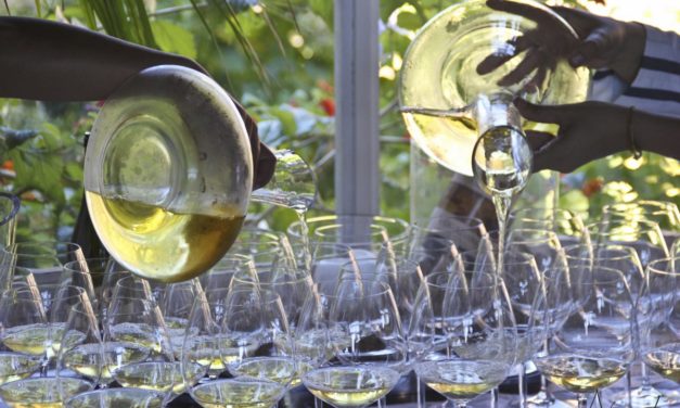 Turismo Enológico con Ruta do Viño Rias Baixas