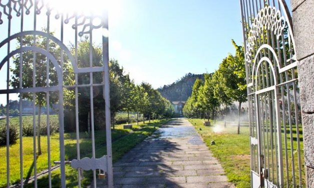 Visita a la bodega Pazo Baión en la Rias Baixas