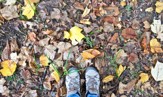 Cuntis, turismo de interior en Rías Baixas.