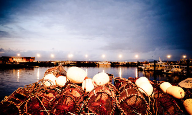 Un par de días de descanso en O Grove