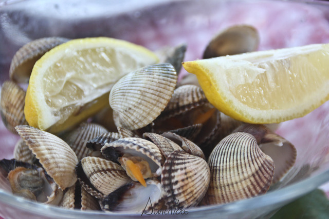 que-ver-combarro-imprescindiblesalvientooo - berberechos galicia - restaurante leucoiña - combarro - blog maisgrelos - alvientooo - blog gastronomia galicia