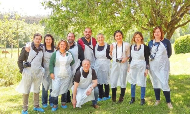 Queso Tetilla, un queso con personalidad.