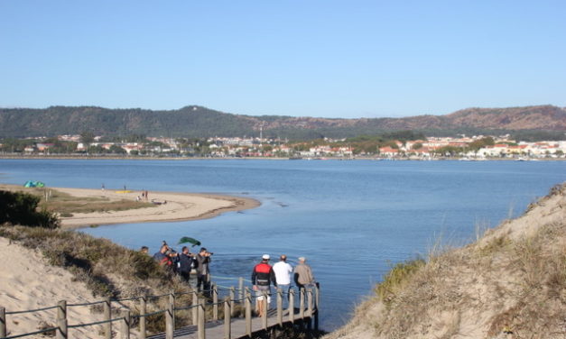 Escapada con  niños a la zona de Oporto y Norte de Portugal
