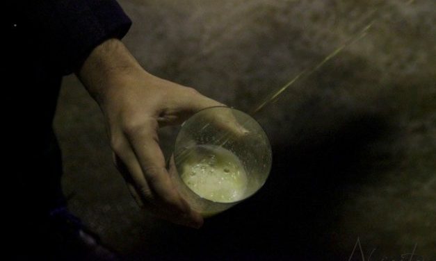 Mi experiencia  con la Sidra Vasca y el rito del Txotx