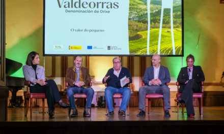 Valdeorras hace historia: primera D.O. de España en aliarse con la WSET