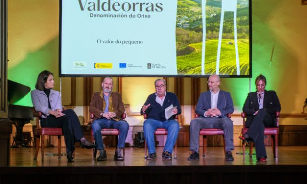 Valdeorras hace historia: primera D.O. de España en aliarse con la WSET