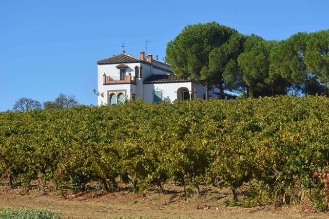 Ruta del Vino Condado de Huelva